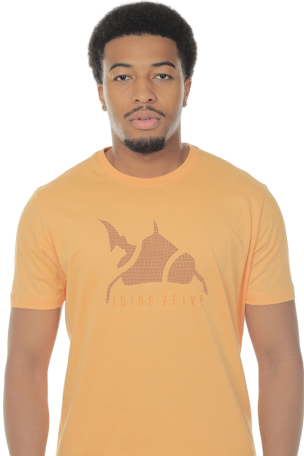 CAMISETA MASCULINA GENEVE IDIOS