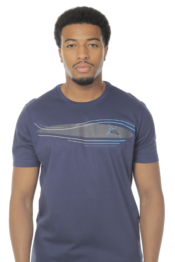 CAMISETA MASCULINA IDIO IDIOS