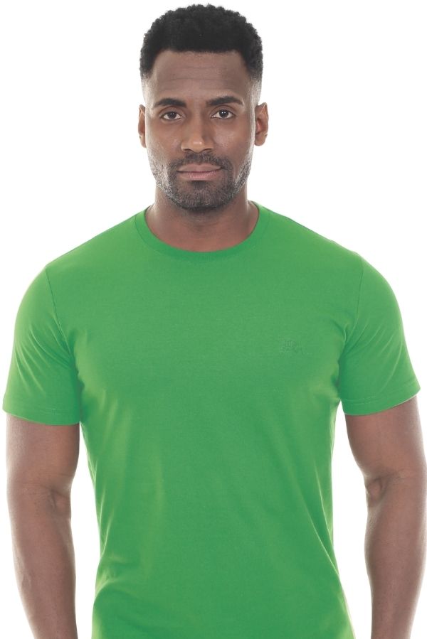 CAMISETA MASCULINA BÁSICA VERDE IDIOS