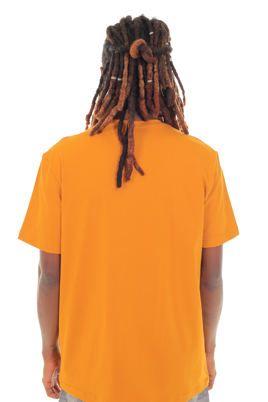 CAMISETA FONTAINE