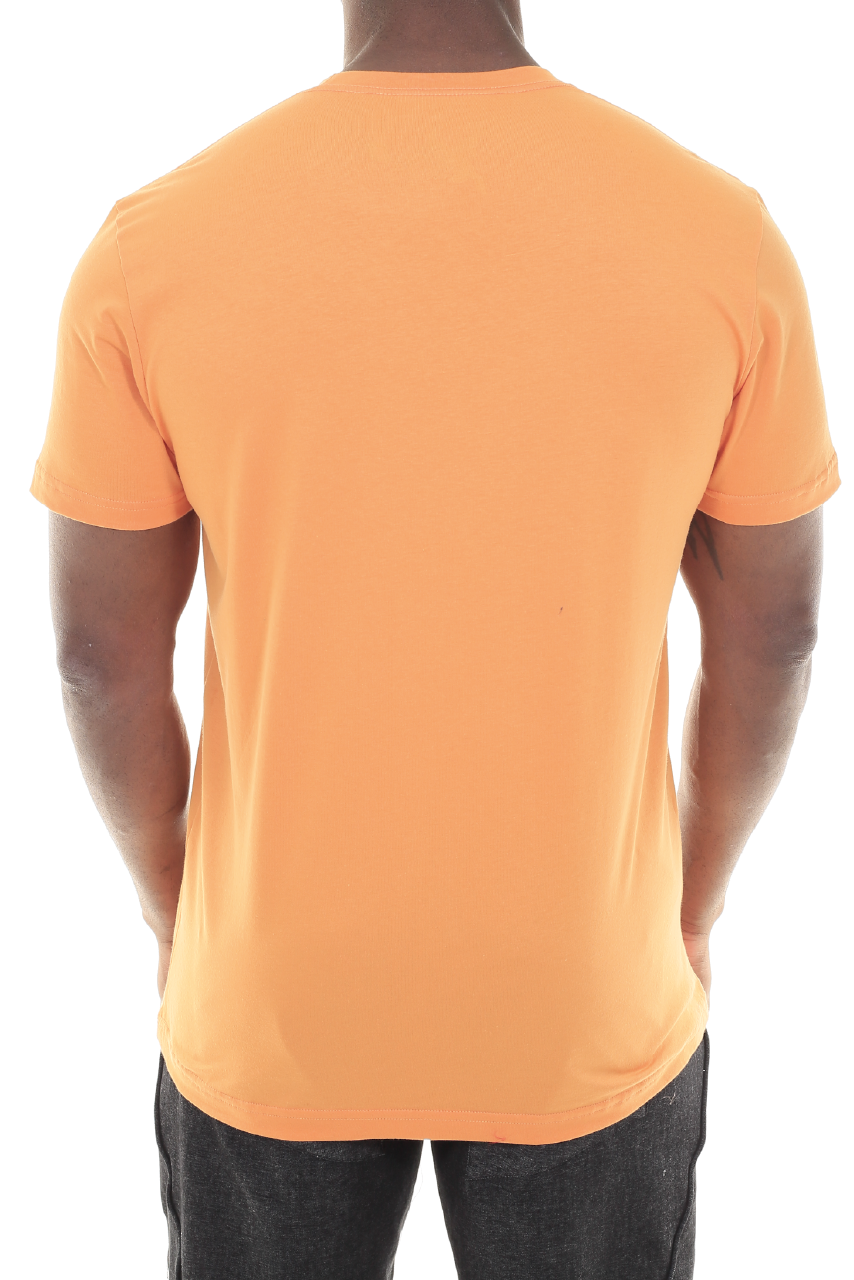 CAMISETA HAROLD
