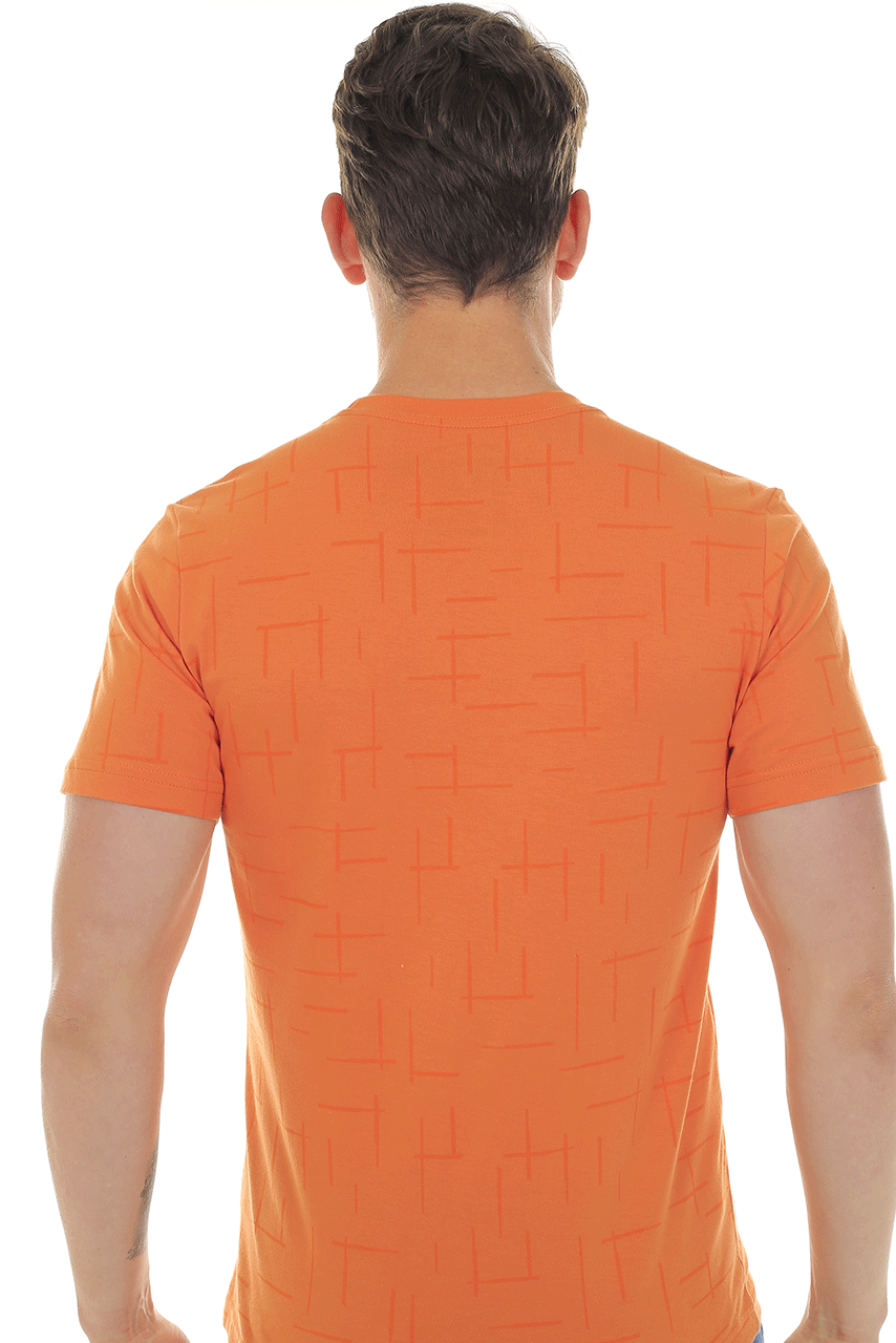 CAMISETA DRACO