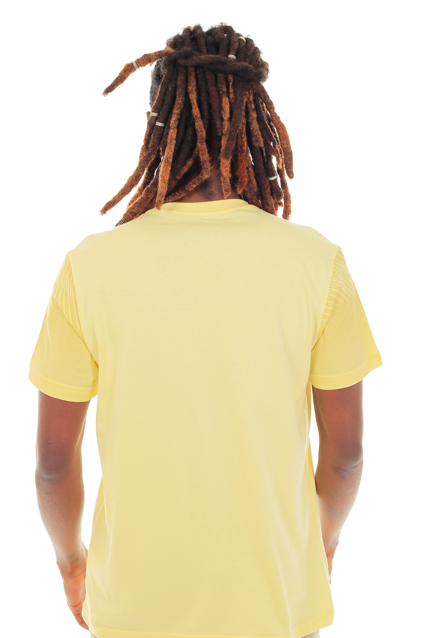 CAMISETA PEGASUS