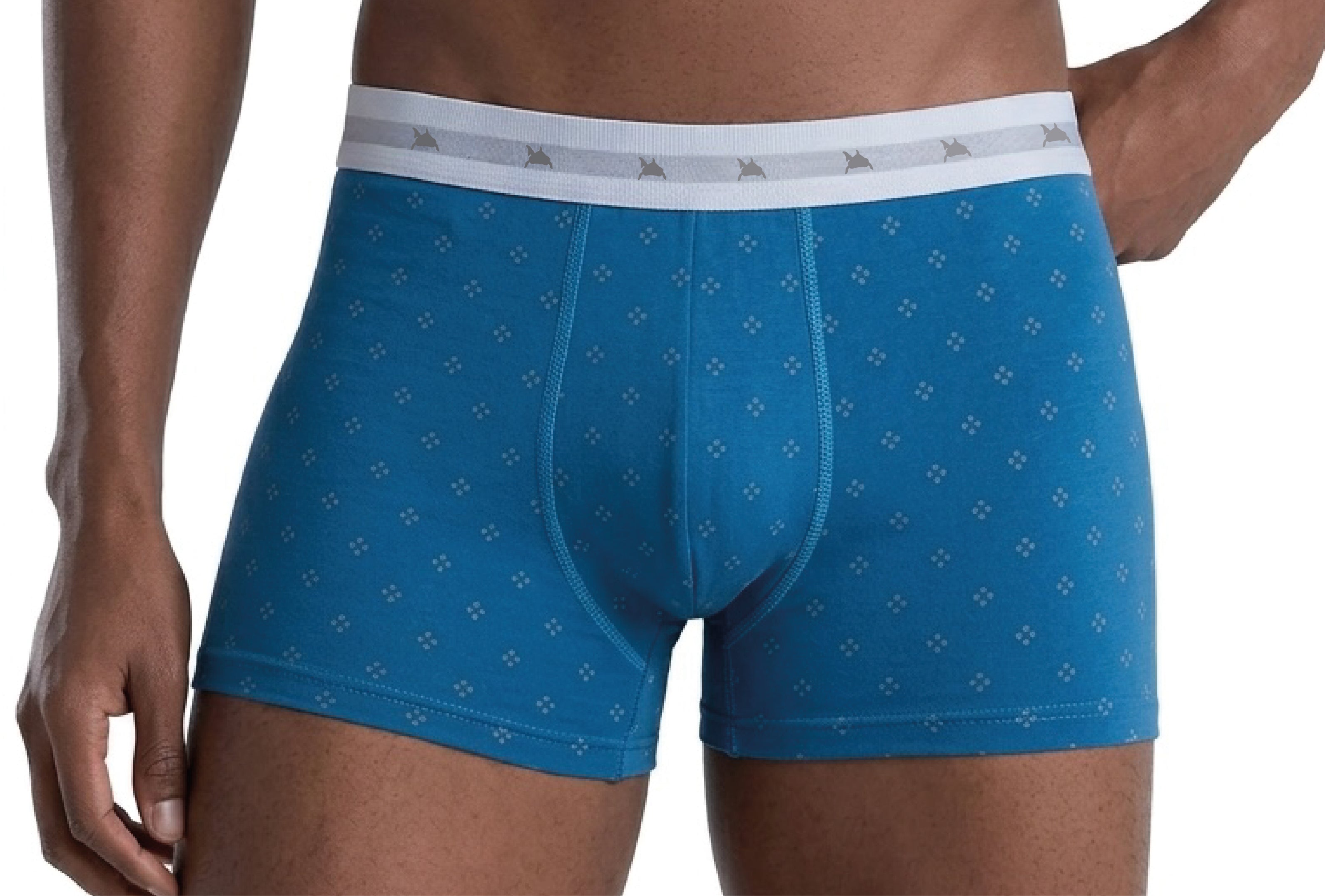 CUECA ESTAMPADA MASCULINA BOXER IDIOS