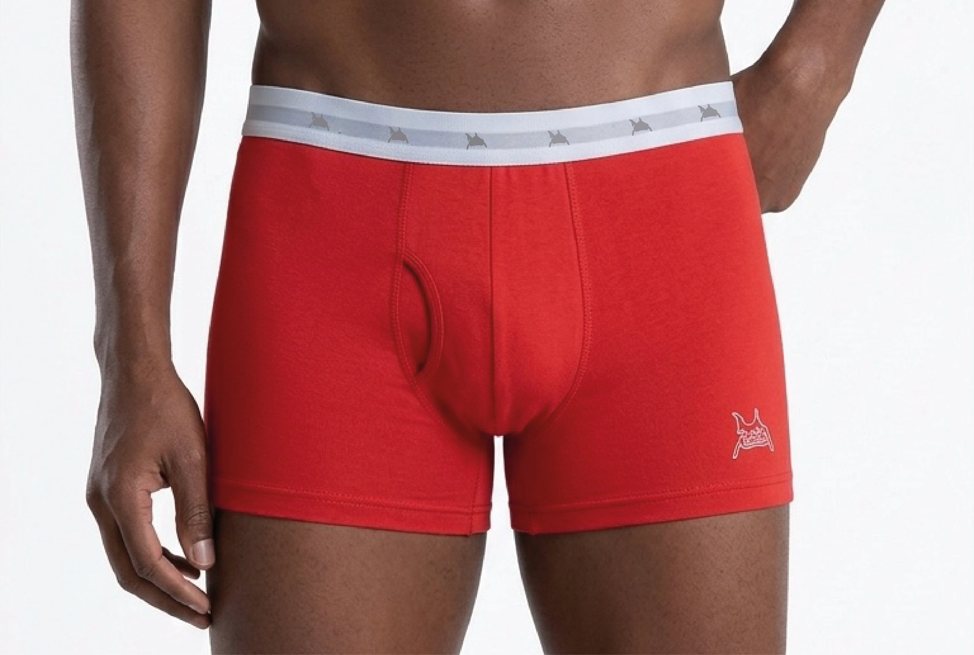 CUECA LISA MASCULINA BOXER IDIOS