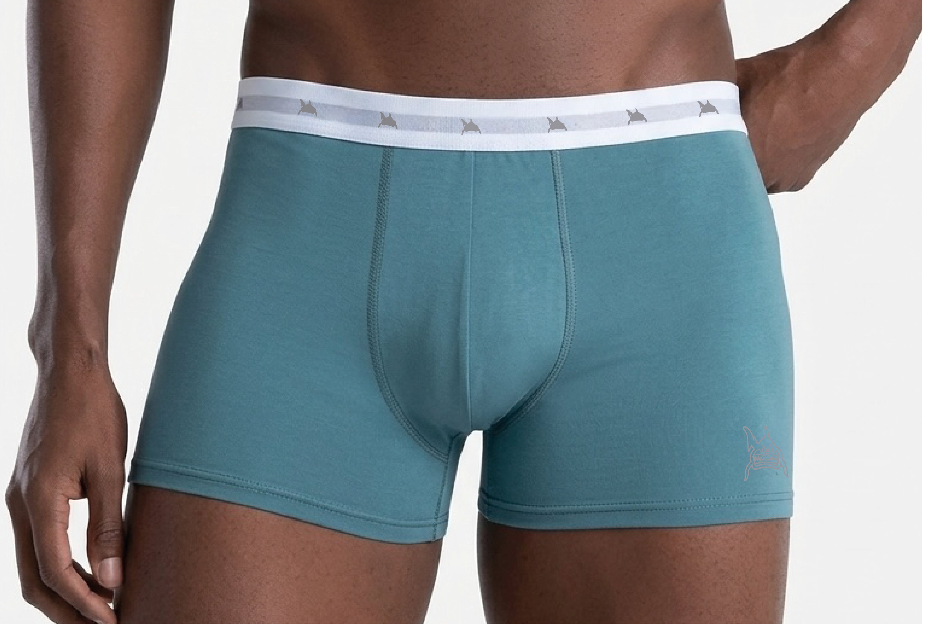 CUECA LISA MASCULINA BOXER IDIOS