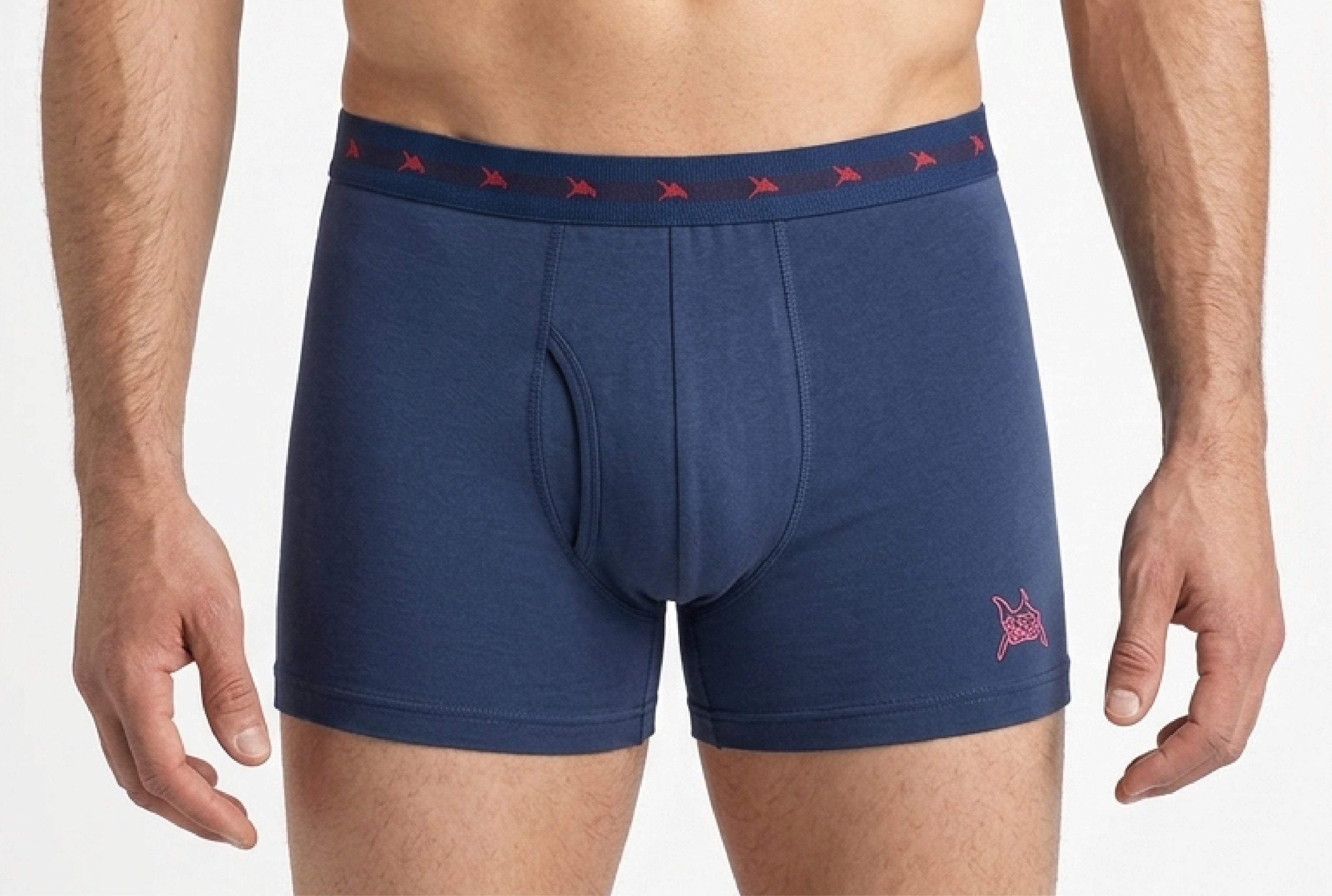 CUECA LISA MASCULINA BOXER IDIOS