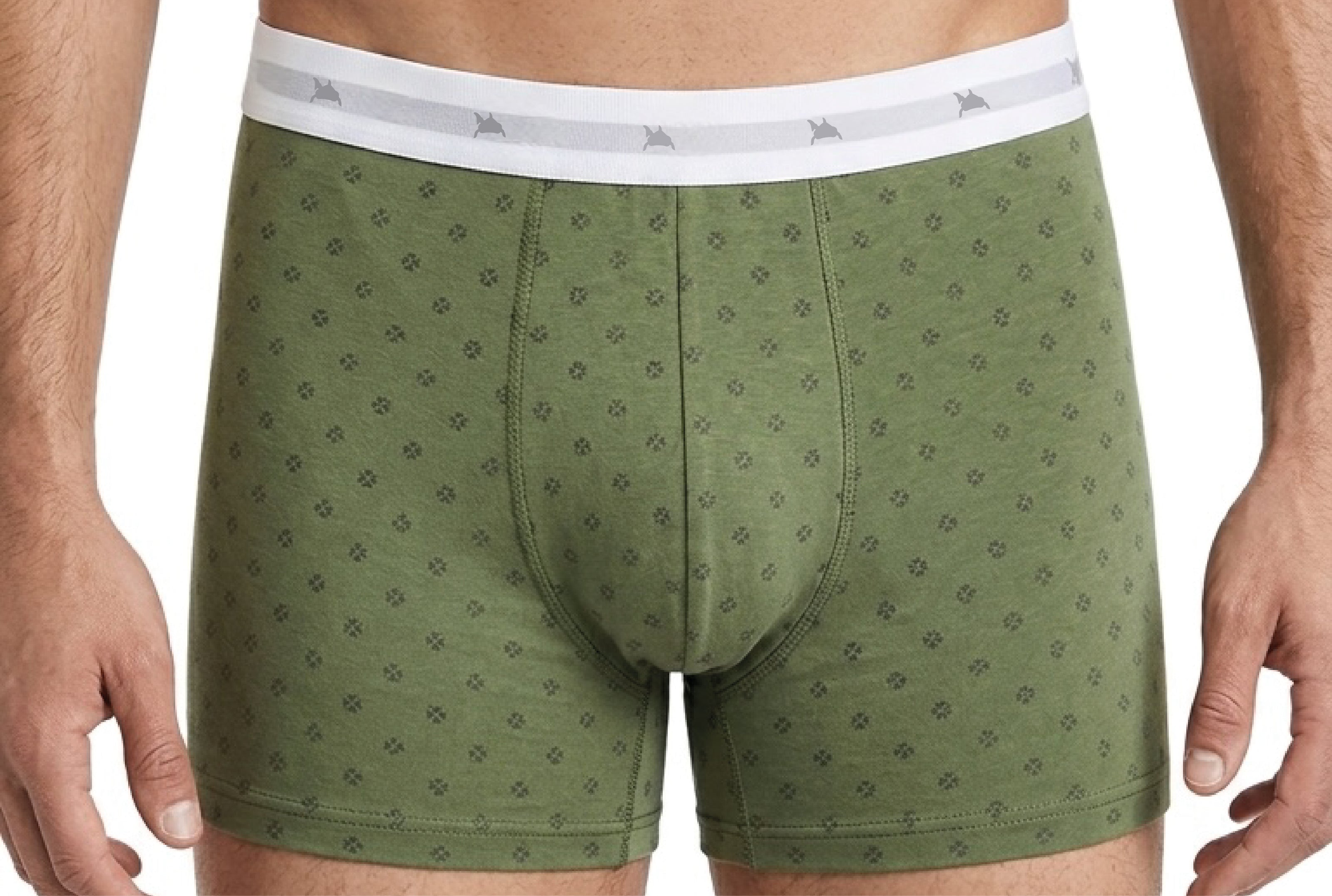 CUECA ESTAMPADA MASCULINA BOXER IDIOS