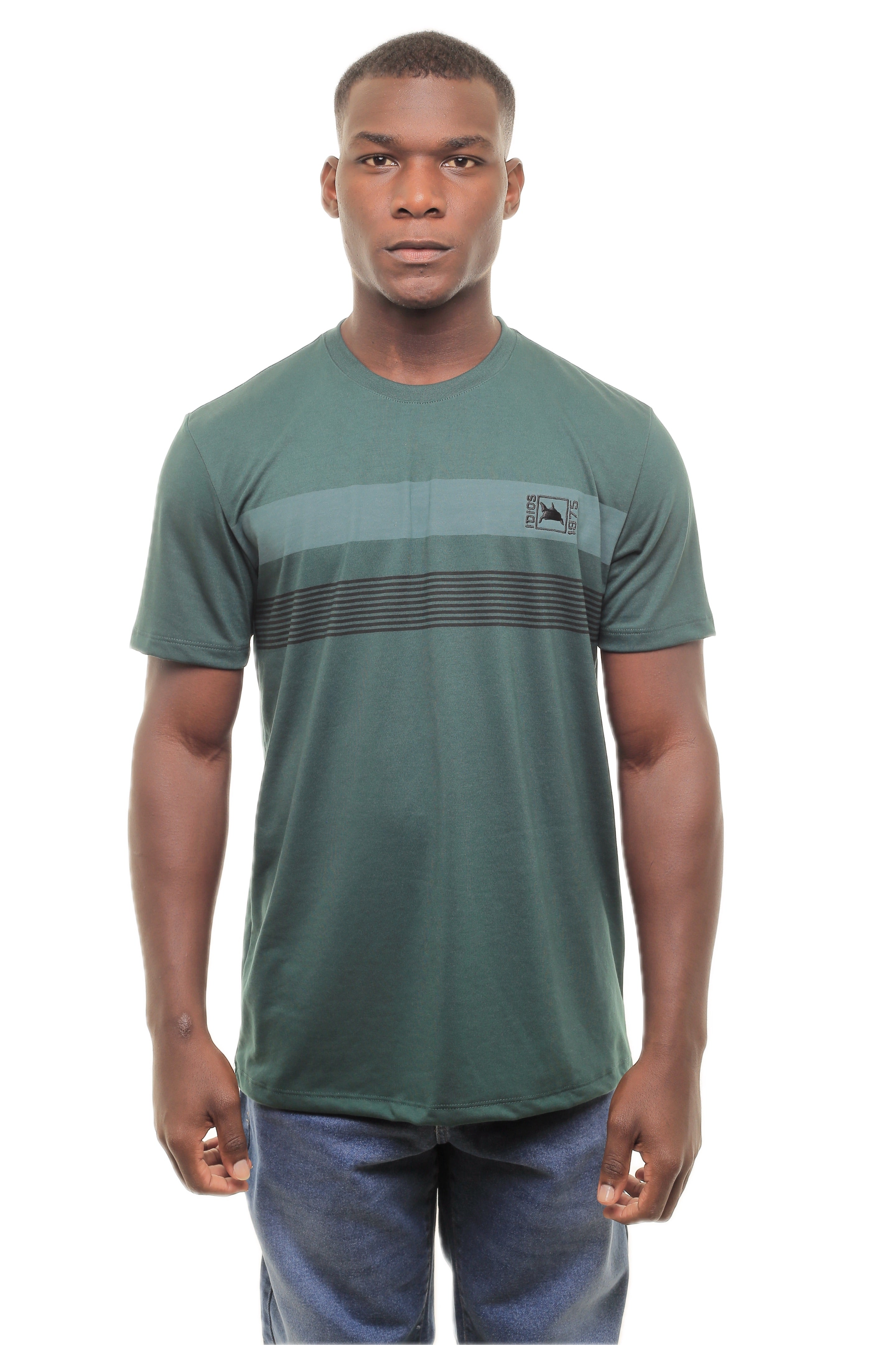 CAMISETA MASCULINA SAITAMA IDIOS