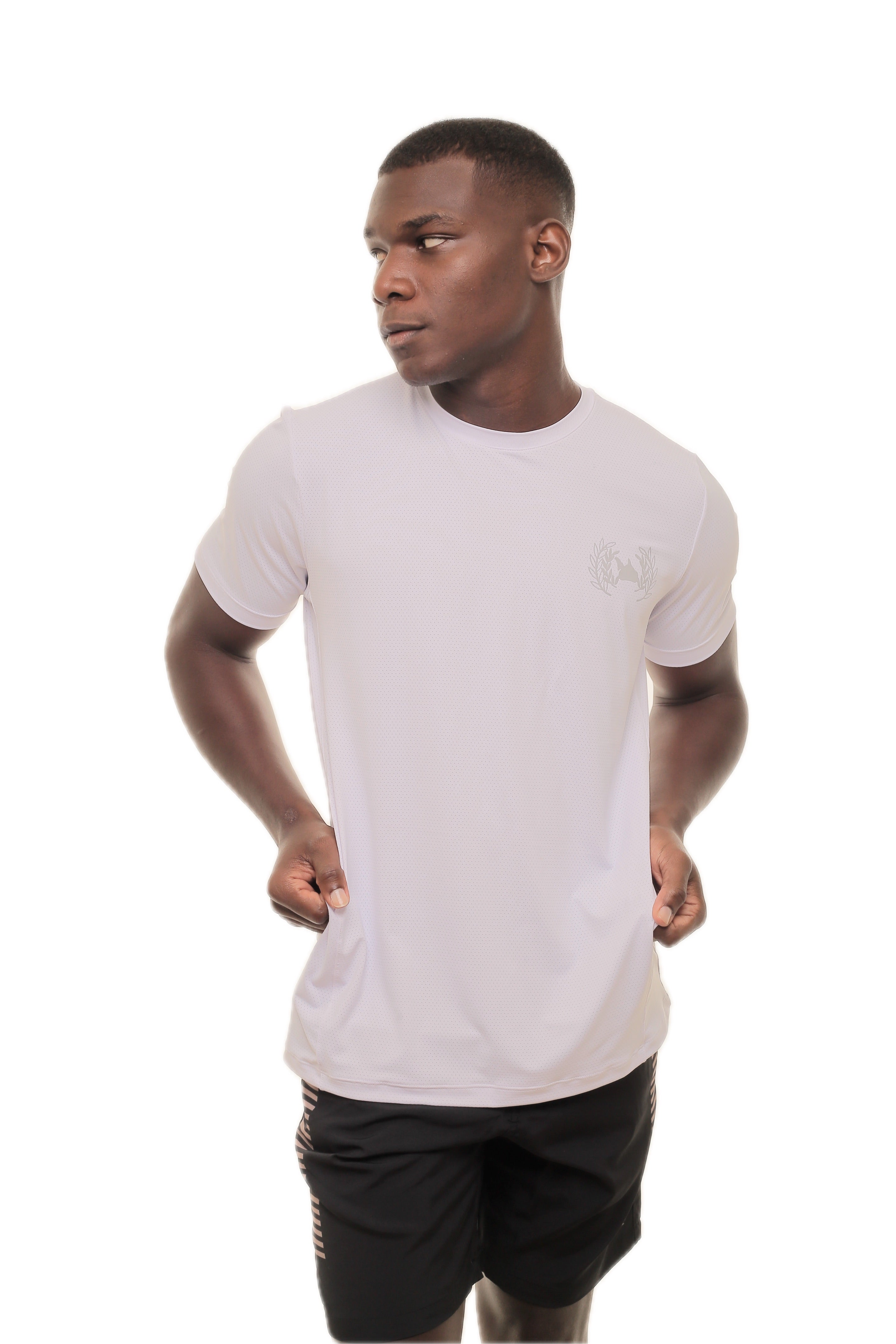 CAMISETA MASCULINA HIZTY IDIOS