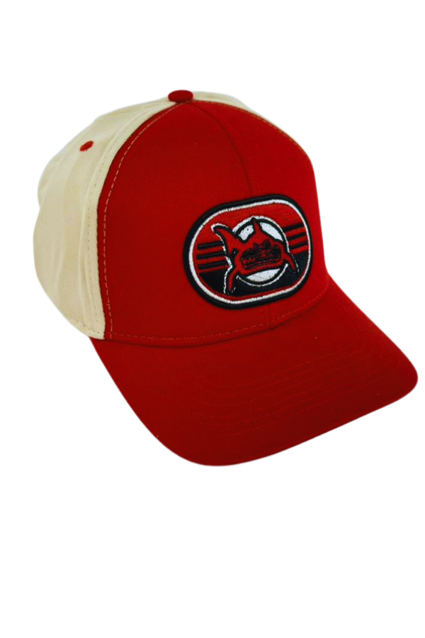 BONÉ MASCULINO DEVILS IDIOS