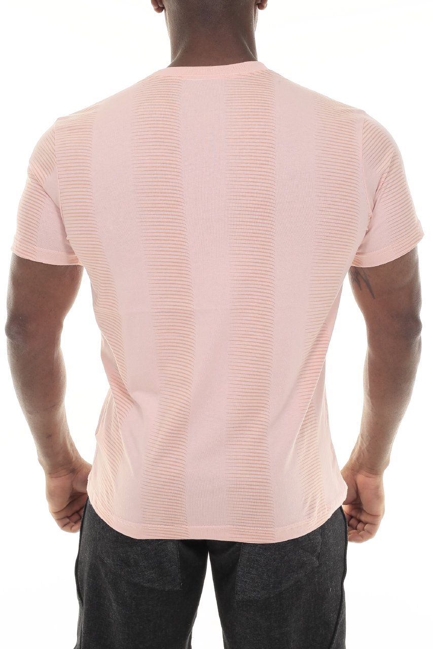 CAMISETA OLMSTED