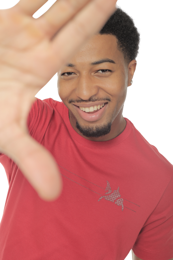 CAMISETA MASCULINA MODENA IDIOS