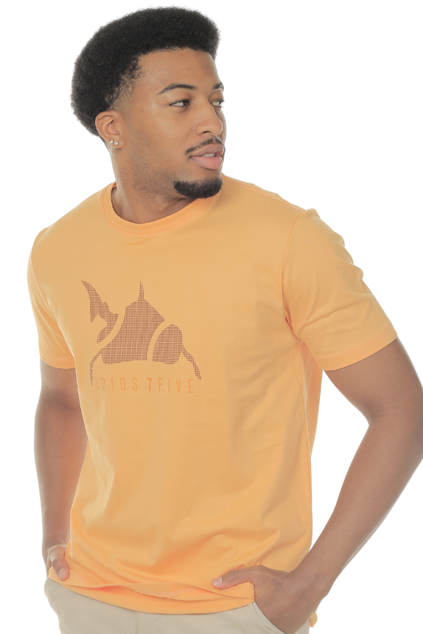 CAMISETA MASCULINA GENEVE IDIOS