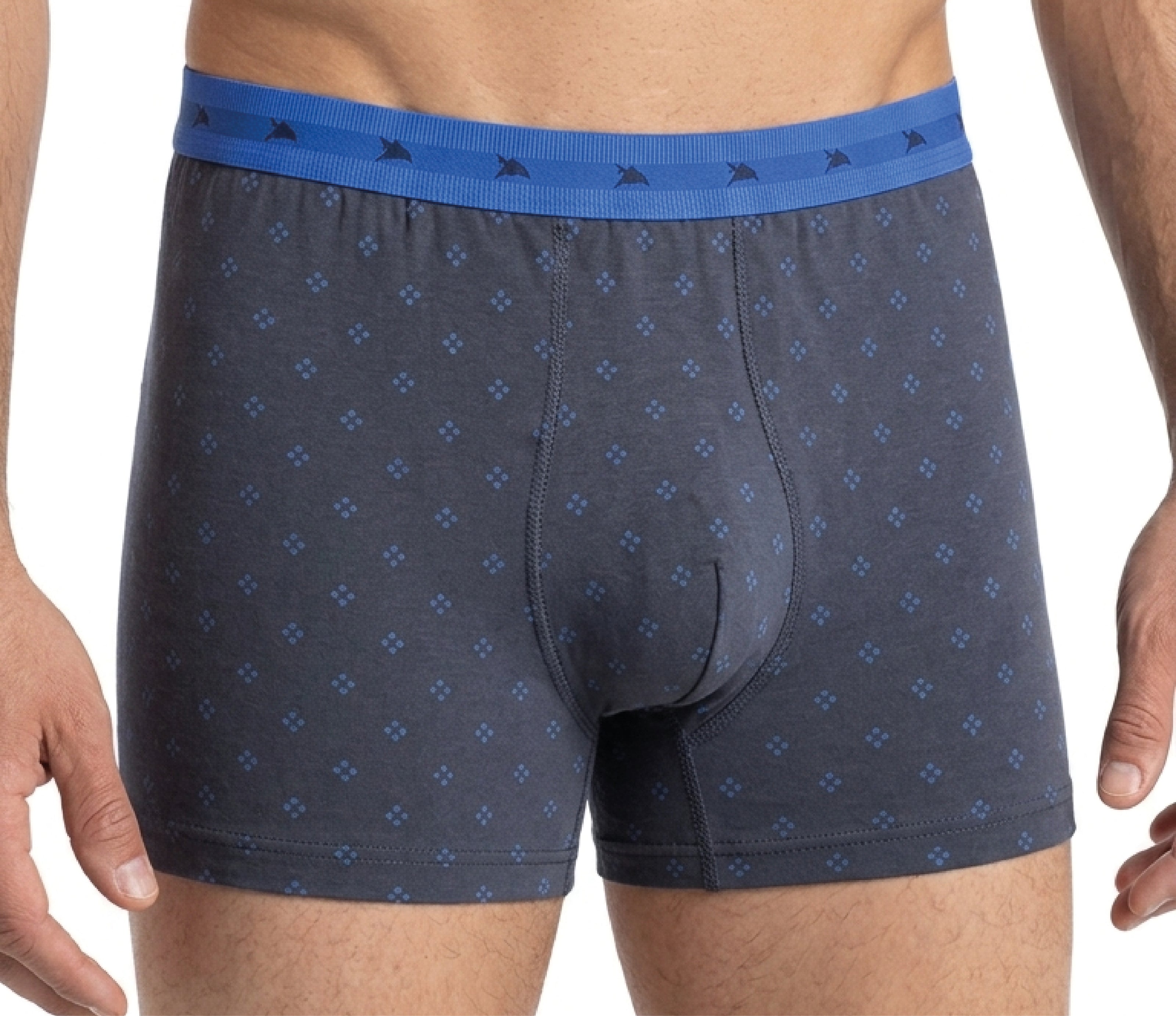 CUECA ESTAMPADA MASCULINA BOXER IDIOS