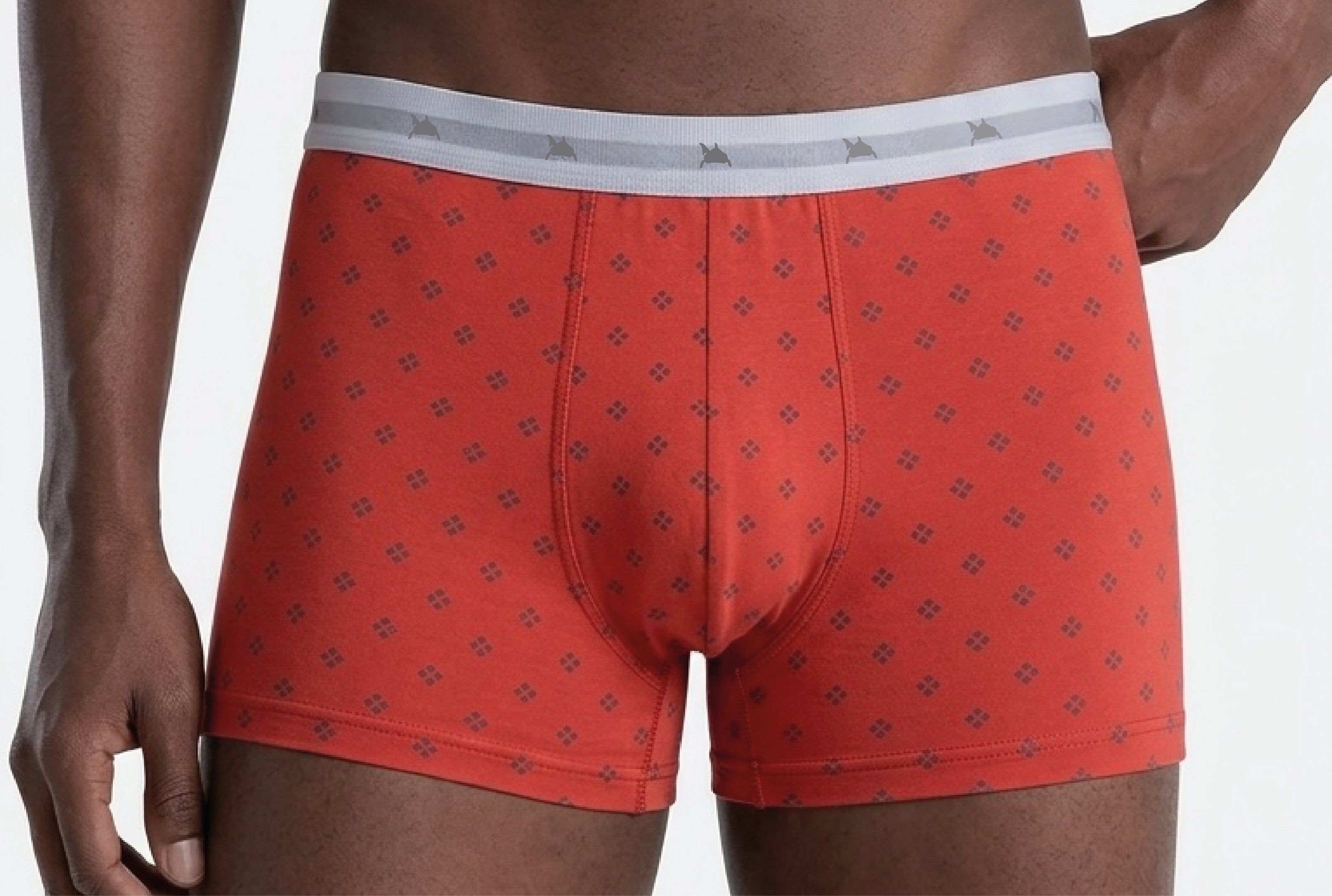 CUECA ESTAMPADA MASCULINA BOXER IDIOS
