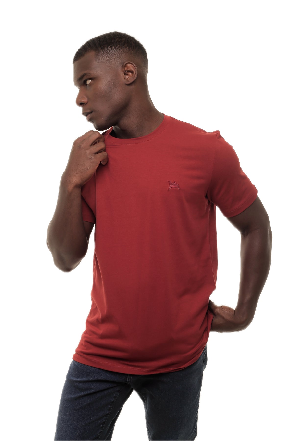 CAMISETA MASCULINA TOYAMA IDIOS