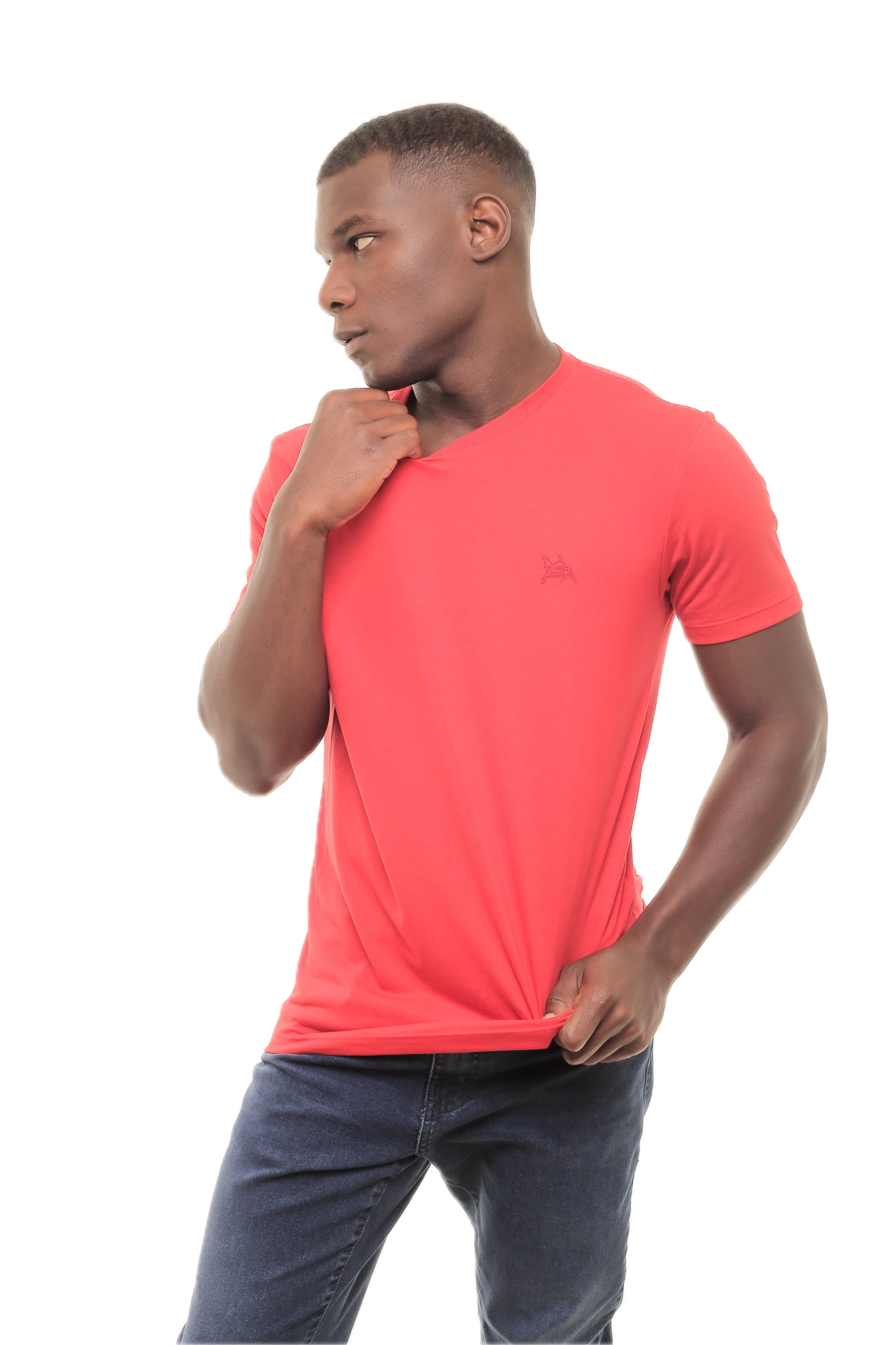 CAMISETA MASCULINA SEYA IDIOS