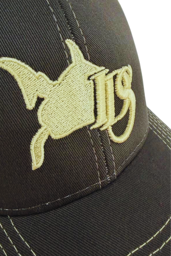 BONÉ MASCULINO BASEBALL IDIOS